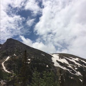 Meet your Posher, Gracie